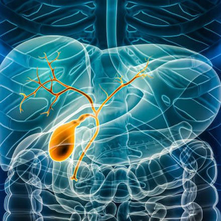 Medical Gastroenterology