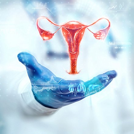 Hysteroscopy Services